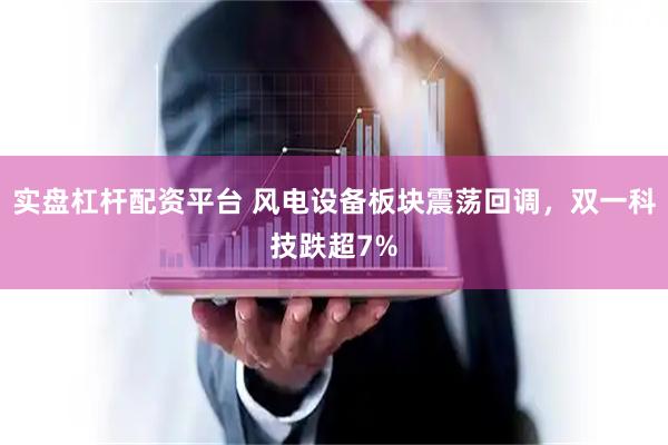 实盘杠杆配资平台 风电设备板块震荡回调，双一科技跌超7%